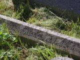 image of grave number 909082